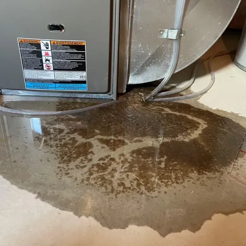 Appliance Leak Cleanup in Boulevard Park, WA